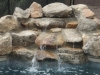 Pool Service gilbert