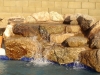A natural rock waterfall installed